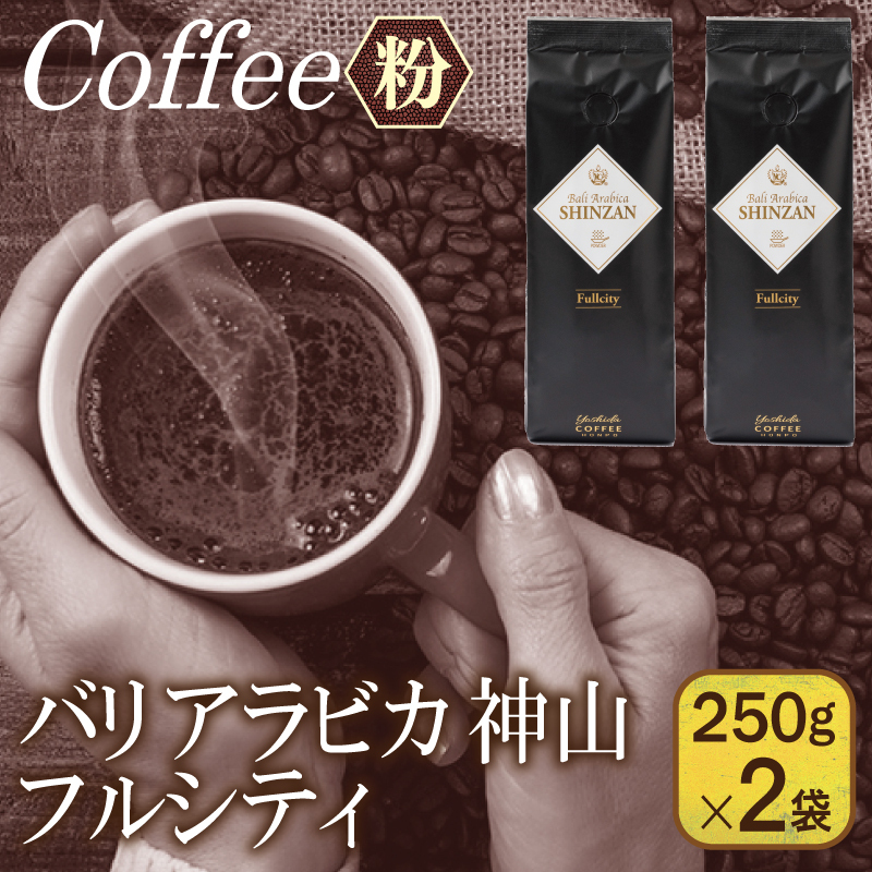 【スピード発送】バリアラビカ神山フルシティ 250g×2袋／粉 【珈琲 こーひー コーヒー 自家焙煎 オリジナル ギフト キャンプ アウトドア 家計応援】 099H4678