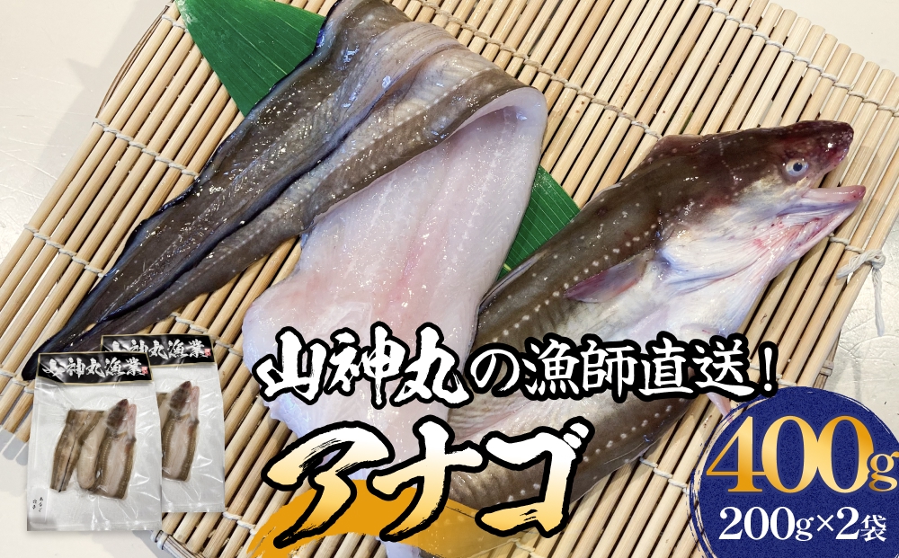 アナゴ 2パック 穴子 あなご 魚介 魚介類 海鮮 下処理済 直送 新鮮 冷凍 焼き物 煮付け フライ