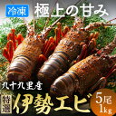 【ふるさと納税】甘い!旨い!冷凍品とは思えない!活け〆リキッド冷凍伊勢海老(刺身用) 5尾で1kg【配送不可地域：離島】【1578211】