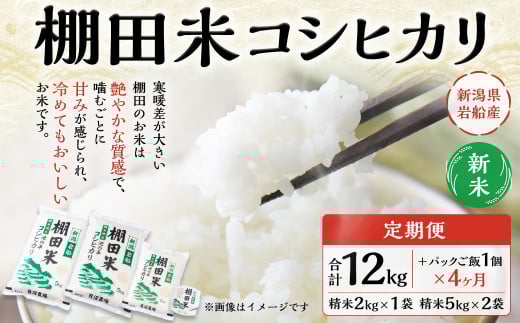 【新米受付・令和7年産米】【定期便：4ヶ月連続でお届け】新潟県村上市岩船産 棚田米コシヒカリ 12kg+パックごはん(150ｇ×1個)×4ヶ月 1067119N 毎月 新米予約 お米 白米 こしひかり 精米 村上市