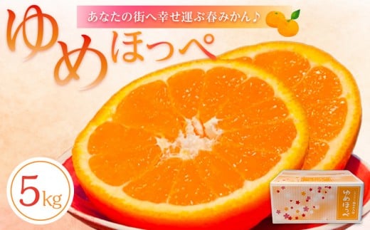 
                  【2026年3月より順次発送】山口県周防大島町からあなたの街へ幸せ運ぶ春みかん《ゆめほっぺ》5kg
                