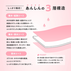 ルナーラ吸水サニタリーショーツ【ヒップハング】2枚セット ※着日指定不可◇
