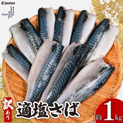 ふるさと納税 銚子市 【適塩】訳あり　ノルウェーさば　1kg