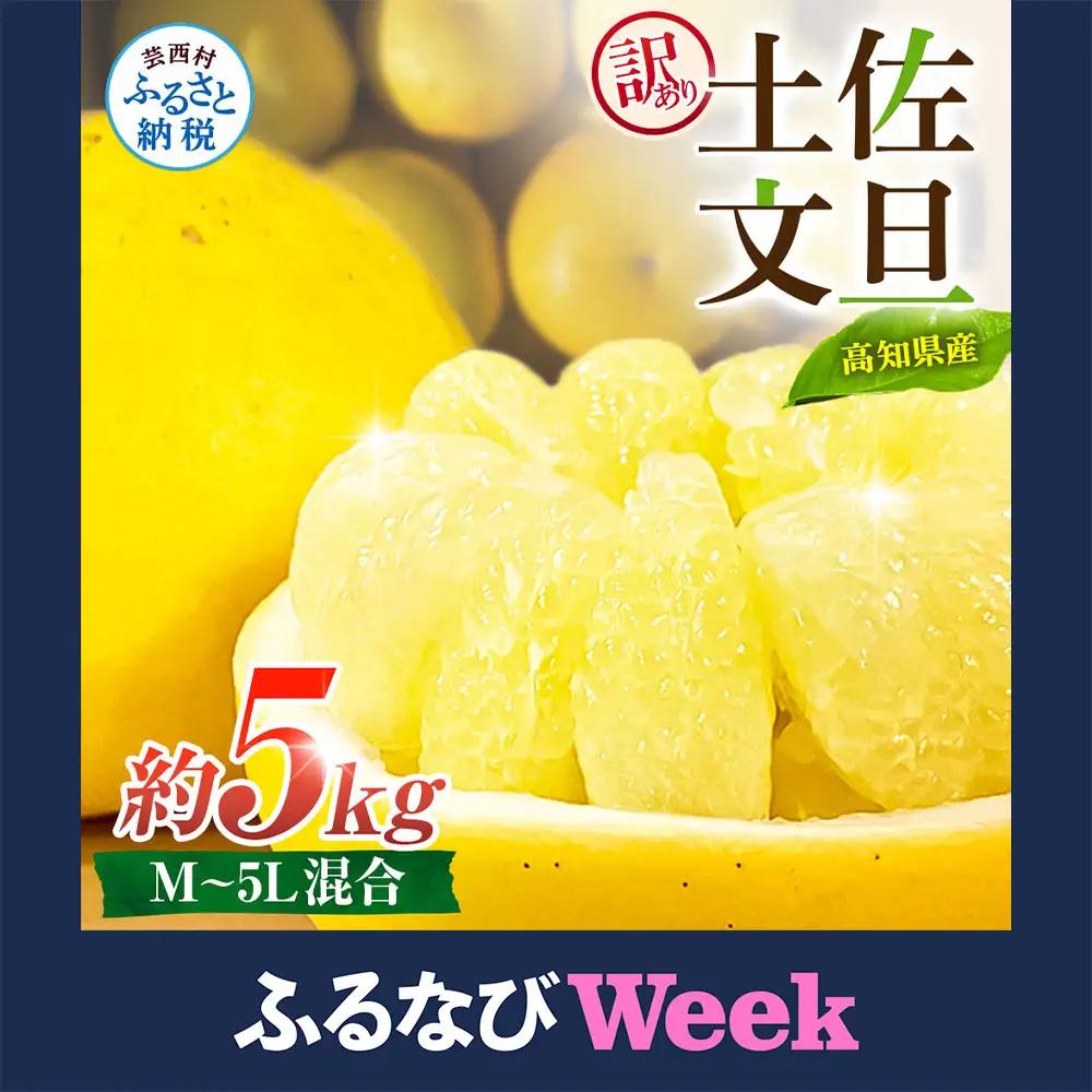 【ふるなびWEEK対象】先行予約 訳あり 土佐文旦 家庭用 約5kg 約8～15玉 M～5L混合サイズ 高知県産 FN-Limited-WE