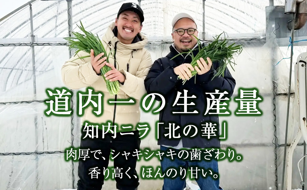 二ラヴァーナ(韮華餃子)5個入り