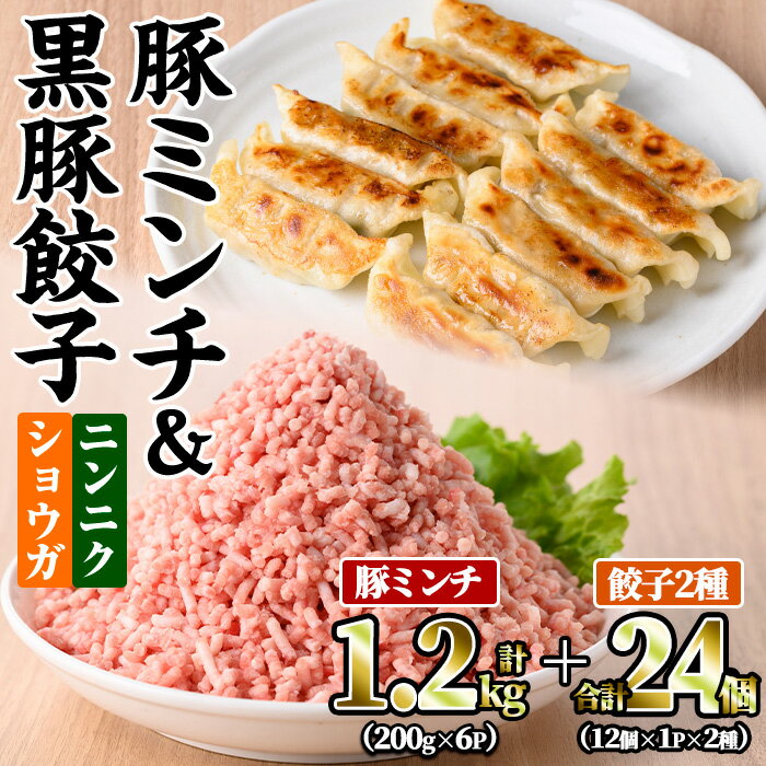【ふるさと納税】豚ミンチ6袋＆黒豚餃子2種詰合せ(豚ミンチ：200g×6P・黒豚餃子(ショウガ)：12個×1P・黒豚餃子(ニンニク)：12個×1P) 国産 鹿児島県産 豚 小分け 冷凍 豚肉 餃子 ぎょうざ ギョウザ 【株式会社 南給】