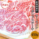 【ふるさと納税】 訳あり 肉 76-66A【訳あり】新潟県産牛（長岡産） サーロイン1ポンドステーキ