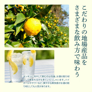 SKS052　土佐山ゆずスカッシュ12本セット スカッシュ ゆず 柚子 ジュース 飲み物 セット お歳暮 御歳暮 ギフト ドリンク 炭酸飲料 柑橘 割り材 お取り寄せ 美味しい おいしい 贈り物 贈答