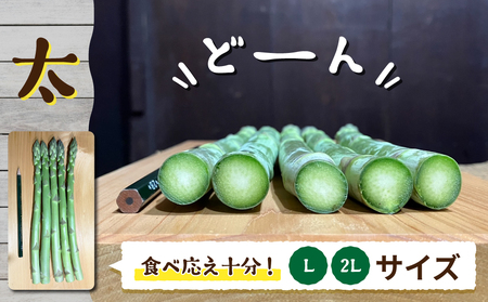 【のららぼ農園】農家直送！新鮮！夏獲れ太（L〜２L）アスパラ１kg（およそ25〜35本）