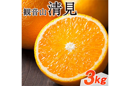 観音山清見 3kg (約15玉-21玉前後) 有限会社柑香園《2025年2月中旬-4月上旬頃出荷》和歌山県 紀の川市 フルーツ 果物 柑橘 みかん オレンジ