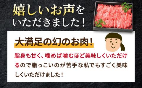 【お中元対象】特選 壱岐牛 切り落とし （450g）【太陽商事】[JDL001] 肉 牛肉 和牛 黒毛和牛 焼肉 小間切れ 赤身 切落し 11000 11000円