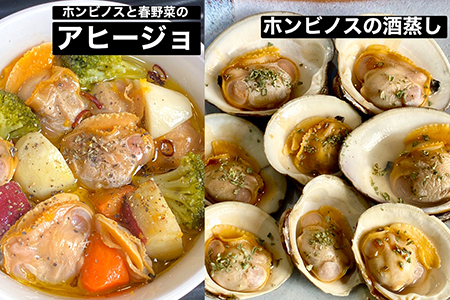 漁師直送！活ホンビノス貝2.5kg（Sサイズ）