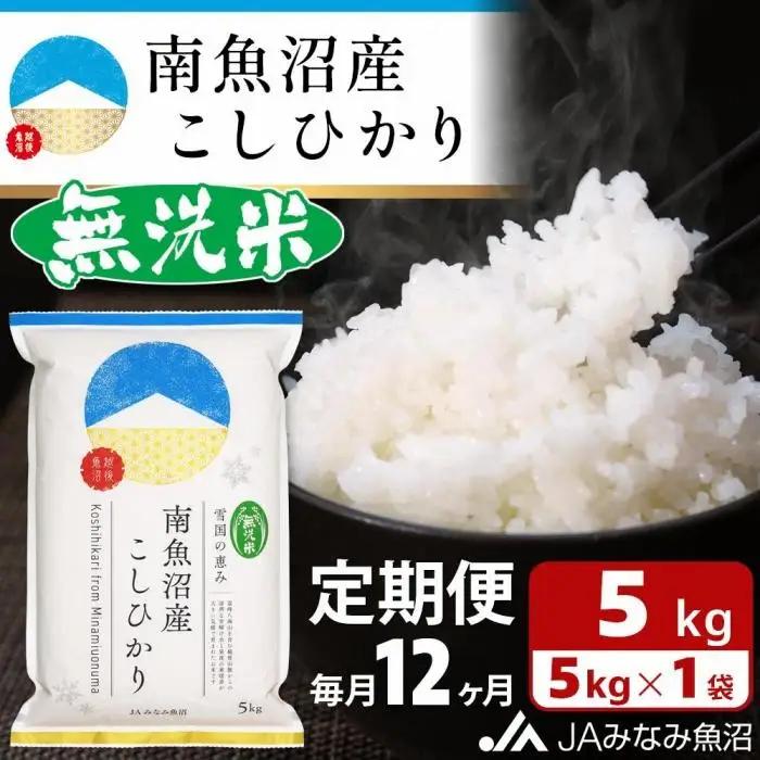 【JAみなみ魚沼定期便】南魚沼産こしひかり無洗米（5kg×全12回）｜無洗米