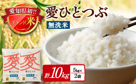 令和6年産愛知県産 ブランド米 無洗米愛ひとつぶ 5kg×2袋計10kg　パールライス 安城工場精米【1469578】