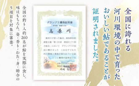 高原川の天然若鮎の甘露煮 12匹 / 鮎 魚 川魚 もんじろう商店