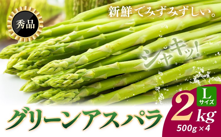 
                  【秀品/Lサイズ】朝採り 北海道日高産 グリーンアスパラ Lサイズ 2kg (500g×4) JA門別町 産地直送 4月上旬-5月末出荷 アスパラ 春野菜 鮮度抜群！旬の甘みを産地直送でお届け
                