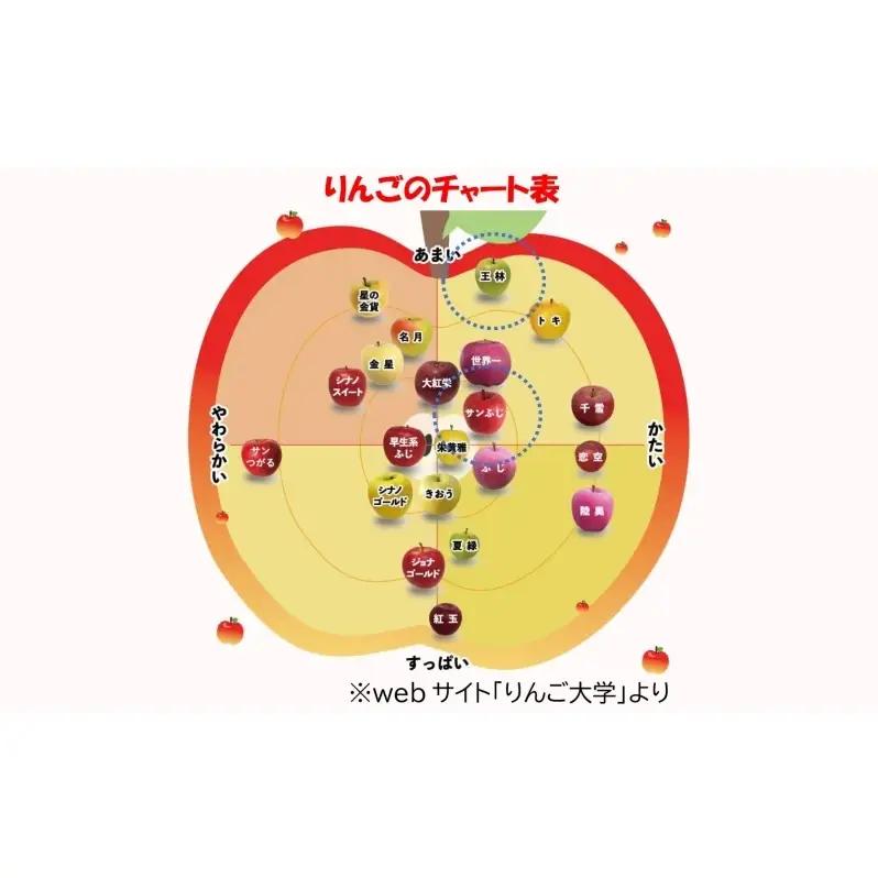 りんご 【1月発送】糖度13度～ 家庭用 サンふじ 王林 約5kg　リンゴ 林檎 青森りんご 糖度 13度 甘い 酸味 デザート フルーツ 果物 お取り寄せ 産地直送 旬 季節限定 弘果物流 青森県 