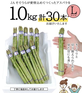 SA2879　グリーンアスパラガス Lサイズ 1kg　計30本(3本1束×10束)