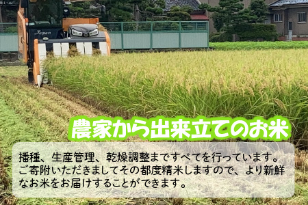 【令和7年産・新米】 おおかわさんちのコシヒカリ玄米 30kg [G-10801]
