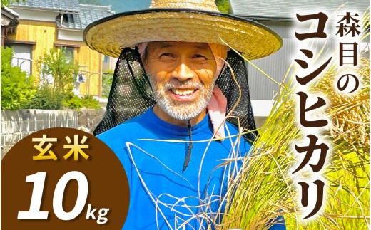 【令和8年産 新米 先行予約】【玄米】福井県大野市　森目のコシヒカリ 10kg |  お米 米 こめ 玄米 コシヒカリ お米 精米 玄米 白米 こめ コメ お米 2026年産 おこめ ご飯 ごはん 送料無料 国産 白飯 産地直送 R8 おいしい ふるさと納税 R8