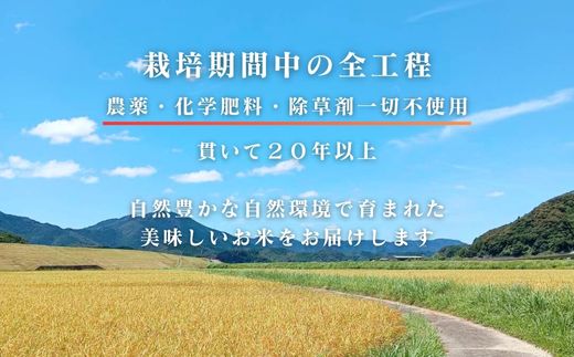 【令和7年産】四万十市産 コシヒカリ 玄米 20kg 栽培期間中農薬・ 化学肥料・除草剤不使用 国産 こしひかり 2025年産 米 おこめ こめ コメ ご飯 高知 四万十 しまんと 農家直送 蕨岡の百