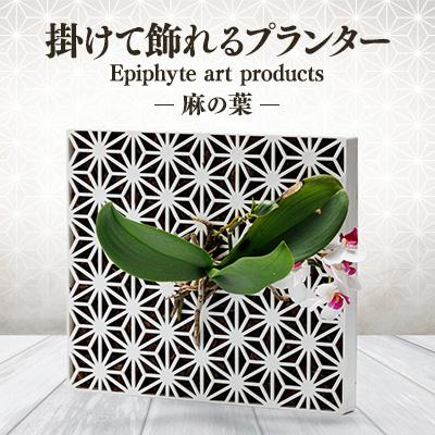 ふるさと納税 東郷町 Epiphyte　Art　Products　麻の葉　L　白