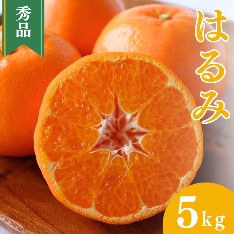 【ふるさと納税】 ＜先行予約＞はるみ【秀品】5kg ※2027年2月上旬～3月上旬頃に順次発送予定【期間限定・数量限定】 / 柑橘 季節限定 お取り寄せ 産地直送 贈答品 ギフト 果物 フルーツ 田辺市 和歌山県