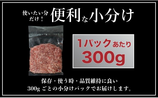 B613 長崎県産豚 ひき肉 計1.8kg (300g×6)