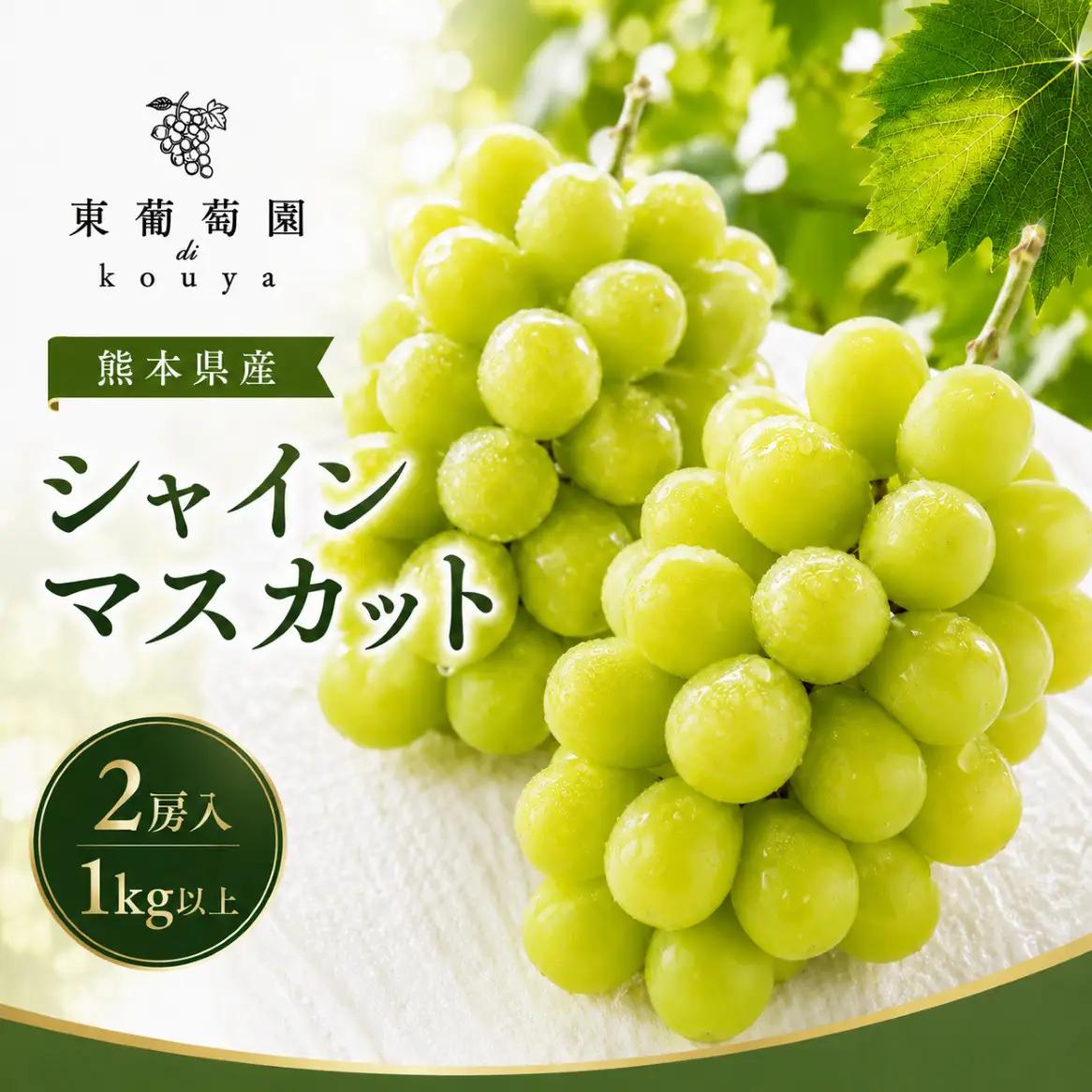 熊本県産　東ぶどう園　シャインマスカット　2房（1kg以上）