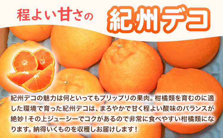 【先行予約】果肉プリプリ♪ 完熟紀州デコ(不知火) 約3kg 株式会社魚鶴《2026年2月下旬-3月中旬頃出荷》和歌山県 日高町 不知火 柑橘 果物 フルーツ(f)