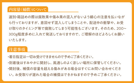 【年内発送指定】 完熟 アルギット みかん 3kg M ～ L サイズ 【発送期間：2025年12月21日～12月30日】 先行予約 みかん 有田みかん 甘い おいしい ジューシー 皮 薄い 完熟 期