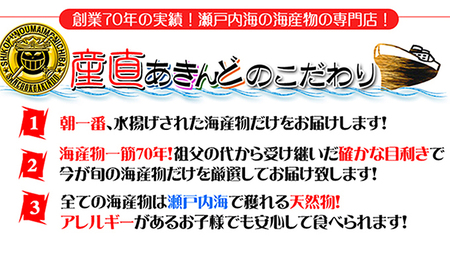 ［頒布会6回］瀬戸内海産の海産物の詰め合わせ（下処理ナシ）