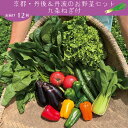 【ふるさと納税】【定期便】合計12回お届け　 有機野菜・京野菜の『京都やおよし』の京丹後・亀岡市お野菜＆九条ねぎ詰め合わせ 野菜 お野菜 京野菜 九条ねぎ 詰め合わせ ふるさと納税 野菜 セット 定期便