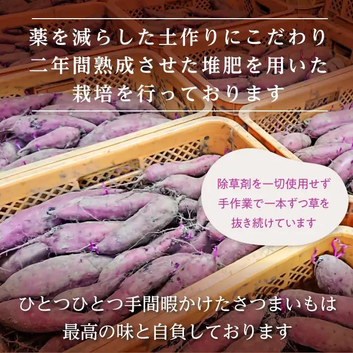 干し芋 ほしいも 紅はるか 5kg ＼3月発送／ ほしいも 【さつまいも鬼澤】