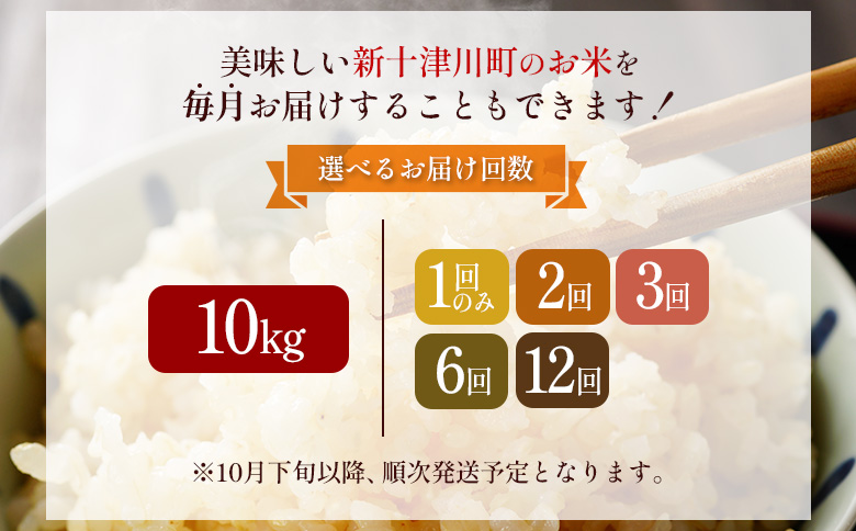 【令和8年度産】 食味ランキング「特A」ななつぼし玄米定期便 (10kg×3回)【11027】