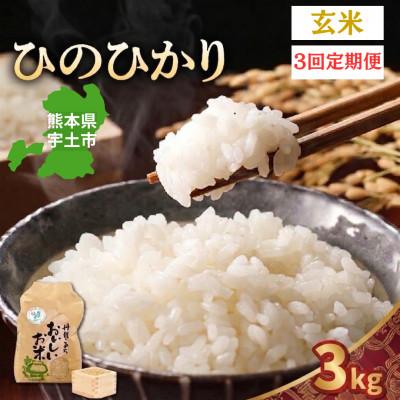 ふるさと納税 宇土市 【毎月定期便】熊本県宇土市 那須自然農園「ひのひかり」玄米3kg全3回