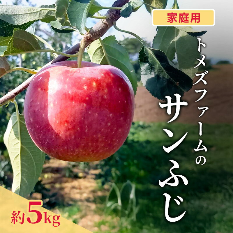 【ふるさと納税】サンふじ（家庭用） 約5kg（15～20玉入り）トメズファーム　りんご　長野　信州　小諸　果物　フルーツ　お届け：2026年11月下旬より順次発送致します。