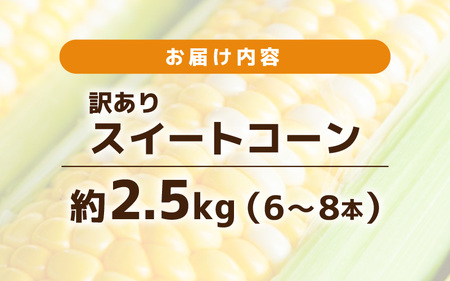 【先行予約】【訳あり】農場直送 鮮度抜群 スイートコーン( とうもろこし ) 約2.5kg（6本～8本) 【お楽しみ バーベキュー 冷凍保存可能 焼肉 おやつ ご飯のおとも 野菜 国産 産地直送】【2