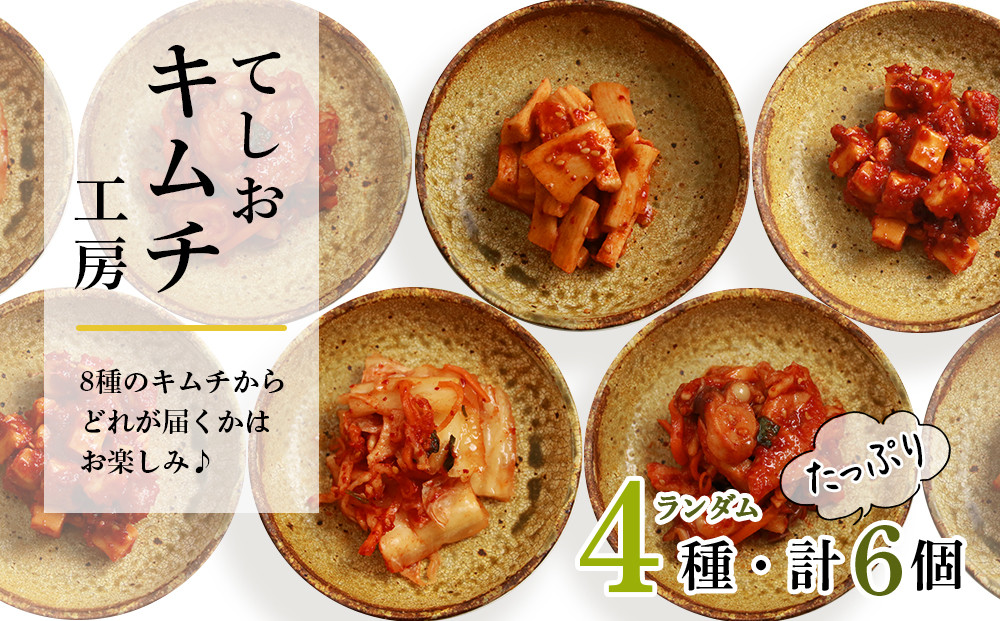 
                  てしおキムチ工房・キムチおまかせランダム6個セット★ ＜天塩の國＞
                