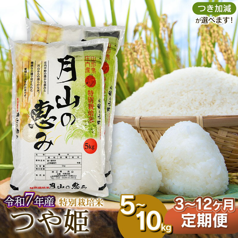 【ふるさと納税】令和7年産 定期便　特別栽培米 つや姫 選べる容量（5kg・10kg）・発送回数（3・6・12回） 毎月1回中旬発送 | 山形県 鶴岡市 お米 コメ おこめ つやひめ 5キロ 白米 精米 無洗米 5分づき 7分つき 分つき ブランド米 美味しい