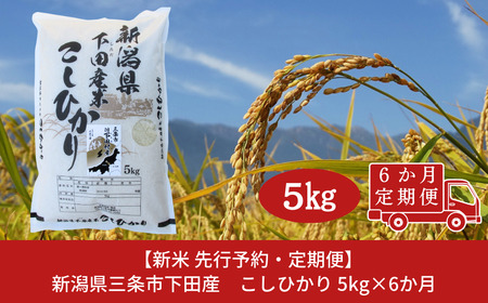 先行予約 [定期便] 新潟県三条市下田産こしひかり 5kg×6回 お米の定期便 定期便 三条市産米定期便 コシヒカリ定期便 こしひかり定期便 【060S007】