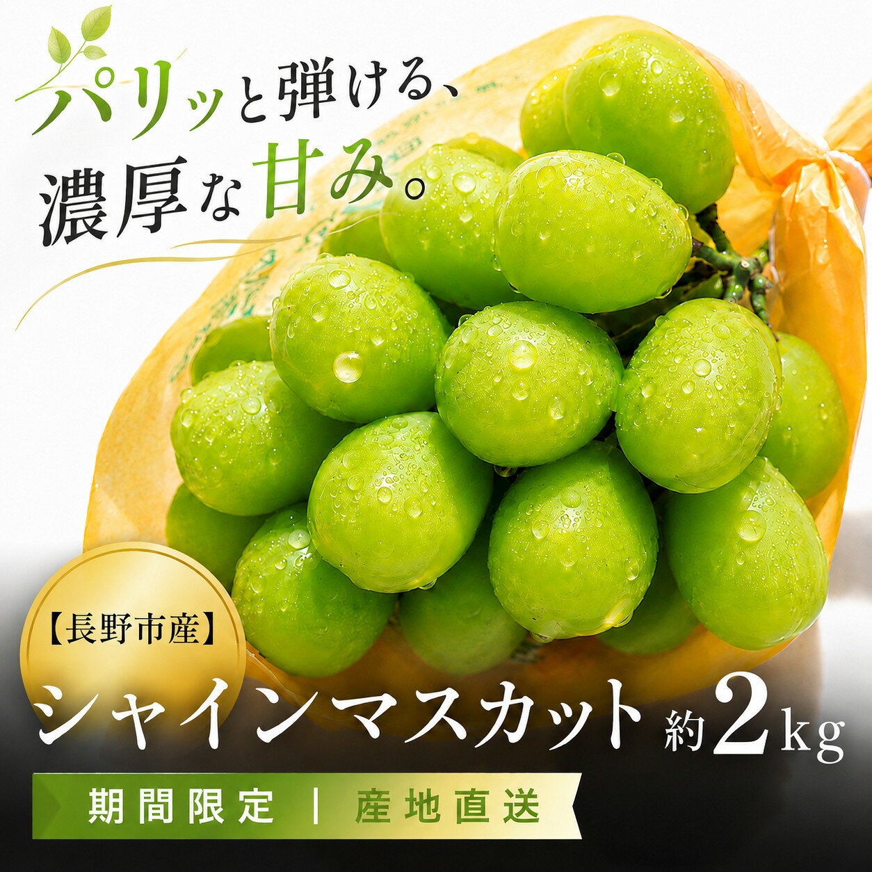 【ふるさと納税】長野市産 シャインマスカット約2kg（4～6房）【2026年発送】果物 くだもの ぶどう フルーツ 旬 デザート 種無し 人気 おすすめ 長野県 長野市 信州 信濃 ふるさと納税