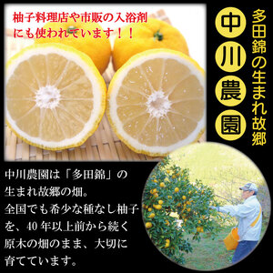 ゆず果汁 500ml × 2本 ゆず 柚子 果汁 100％ 手搾り 柚子果汁 ゆず酢 柚子酢 酢 ビタミンＣ 調味料 ジュース 徳島県