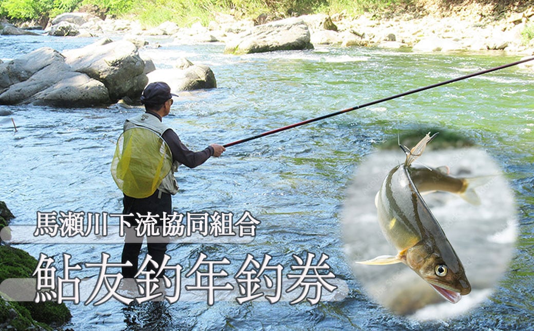
            予約受付【令和8年】 (2026年5月から順次発送)「馬瀬川下流」鮎友釣年釣券 1枚 あゆ 年券 アユ 年釣り つり券 2026年
          