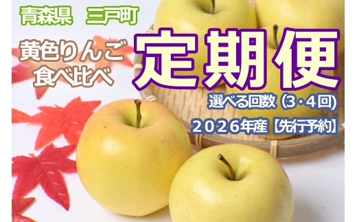 黄色りんご食べ比べ定期便 人気黄色りんご食べ比べ 3回 定期便：ぐんま名月（5kg）・王林（5kg）・シナノゴールド（5kg）【2026年産・先行予約】★2026年10月下旬～1月下旬頃まで発送予定★旬のりんご 青森県産 三戸町産りんご リンゴ 定期便 2026年産 旬 くだもの 果物 フルーツ 青森県三戸町 AK-26-089