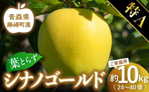 【先行予約】シナノゴールド　特Aご家庭用　約10kg(24～40個)【グランドアップル】 青森りんご 林檎 リンゴ 葉取らずりんご 発祥の地 果物 フルーツ 青森県産 藤崎町 おすすめ F41-0180
