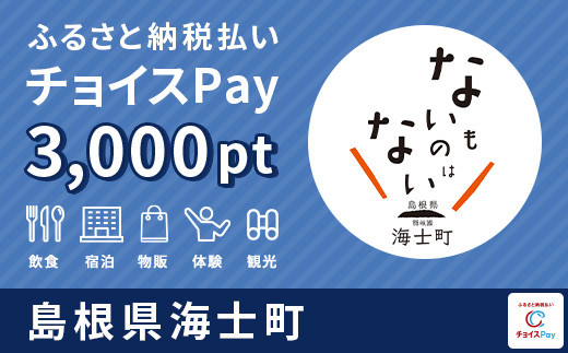 
【ジオホテル「Entô」で利用可能】海士町チョイスPay 3,000pt（1pt＝1円）【会員限定のお礼の品】
