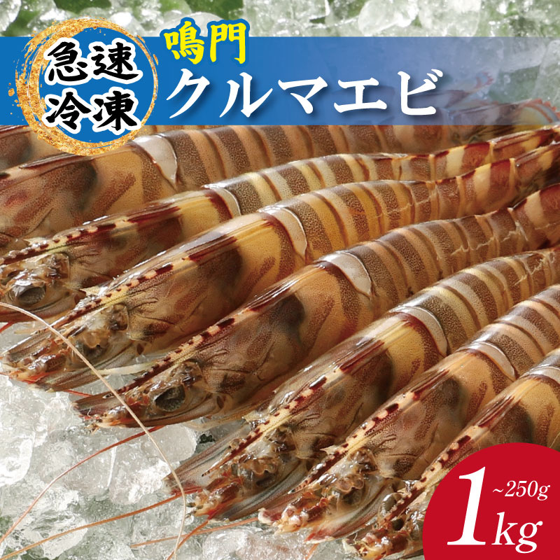 【ふるさと納税】 車海老 250g ～ 1kg 選べる 内容量 クルマエビ 車エビ えび エビ 急速冷凍 養殖 塩焼き 天ぷら フライ 冷凍 徳島 鳴門