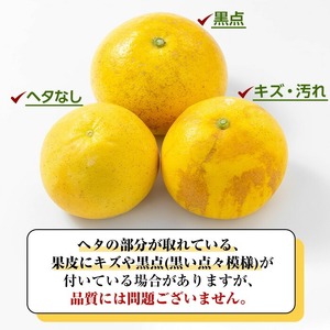 ＜期間限定＞磯部農園のサワーポメロ8kg箱バラ詰め（12玉～22玉）【A-1846H】