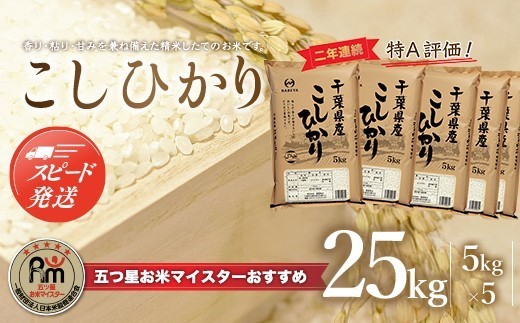 
                  令和8年産 2年連続特A評価!千葉県産コシヒカリ25kg（5kg×5袋）ふるさと納税 米 25kg 千葉県産 大網白里 コシヒカリ 精米 こめ 送料無料 E007
                